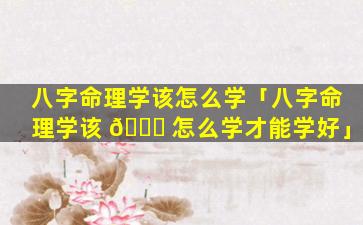 八字命理学该怎么学「八字命理学该 🐅 怎么学才能学好」
